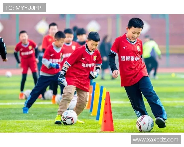 中国足球球星数量排名揭示各省市足球人才分布情况 中国足球球星数量排名揭示各省市足球人才分布情况