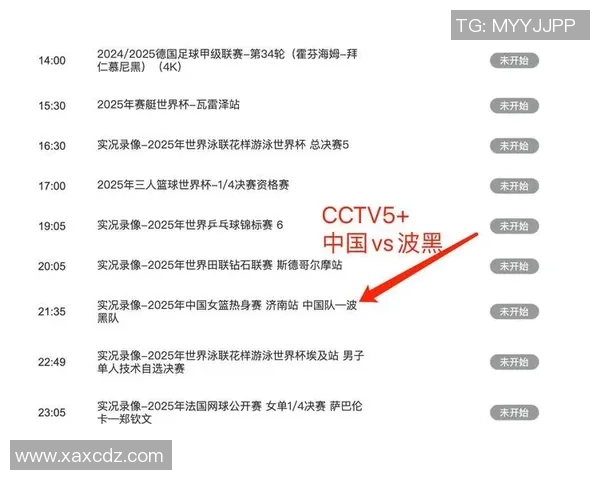 波黑女足球员代表性人物及其成就分析